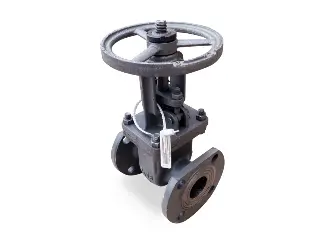 Задвижки стальные Z40Н-64 LY 30с76нж (Ру-64) ДУ50